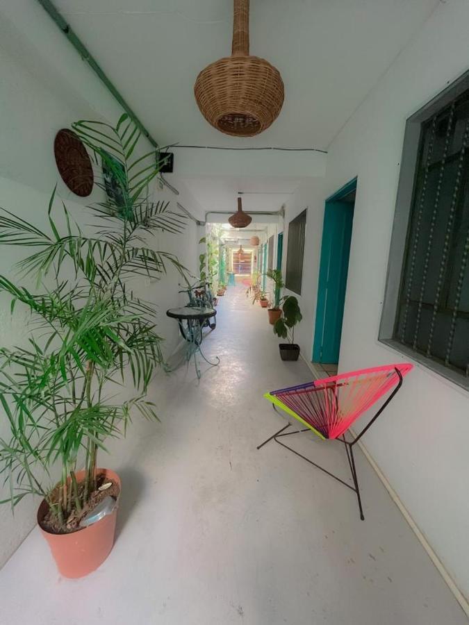 Casa Calido Hotel Cozumel Luaran gambar
