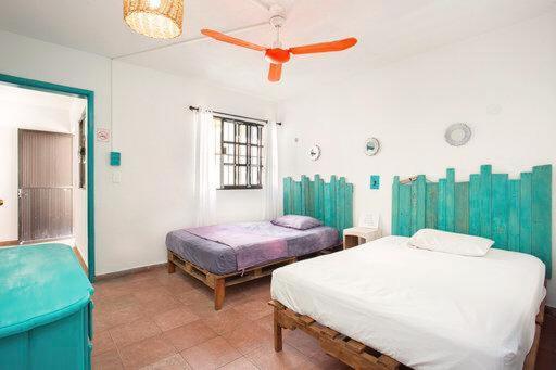Casa Calido Hotel Cozumel Bilik gambar